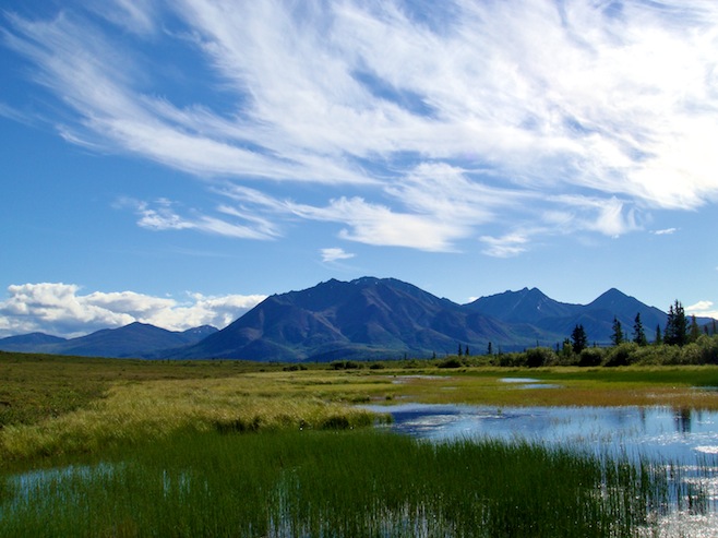 Denali Hwy